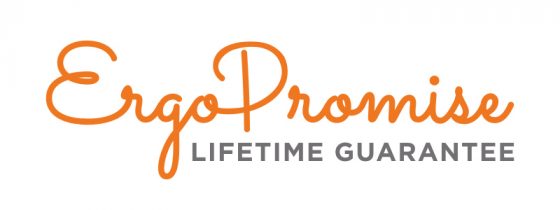 ErgoPromise Lifetime Guarantee