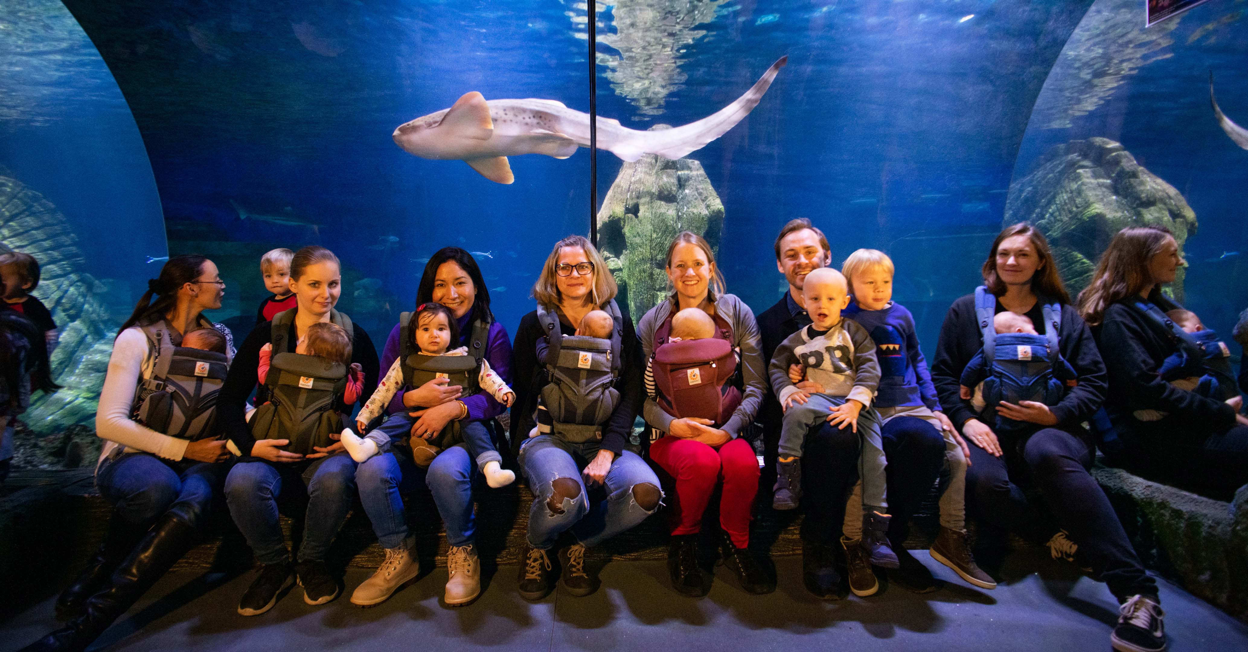 Ergobaby City Walk: Auf Tauchstation im Sea Life München