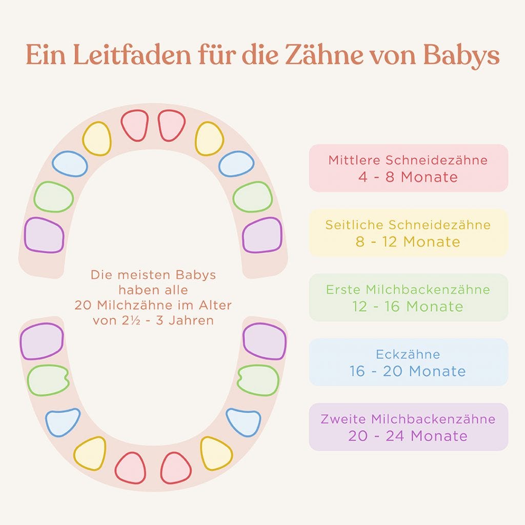 Leitfaden für die Zähne von Babys